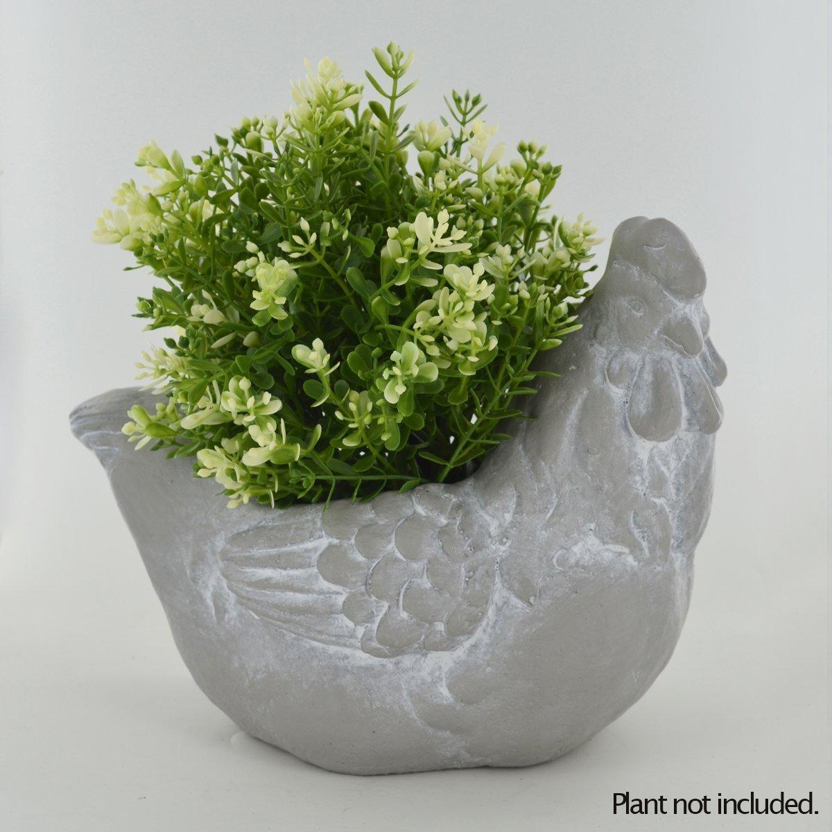 The Online Bazaar A Charming Chicken garden planter/Ornamental planter/Flower pot-1