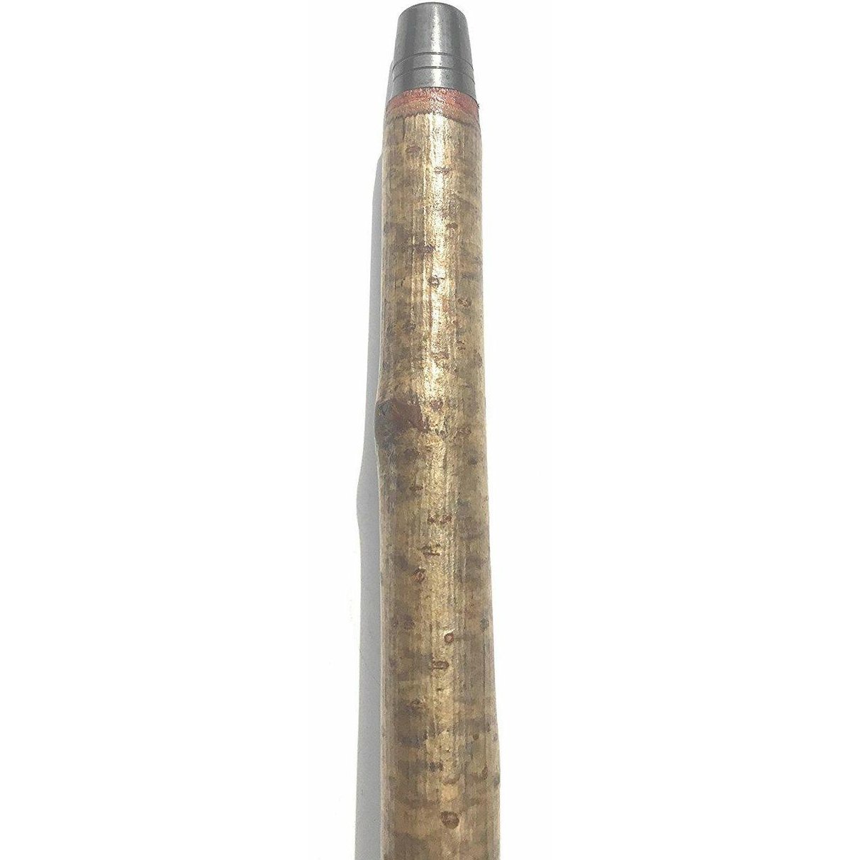 Black Labrador Golden Retriever Dog Head long Trekking Hiking Pole-3