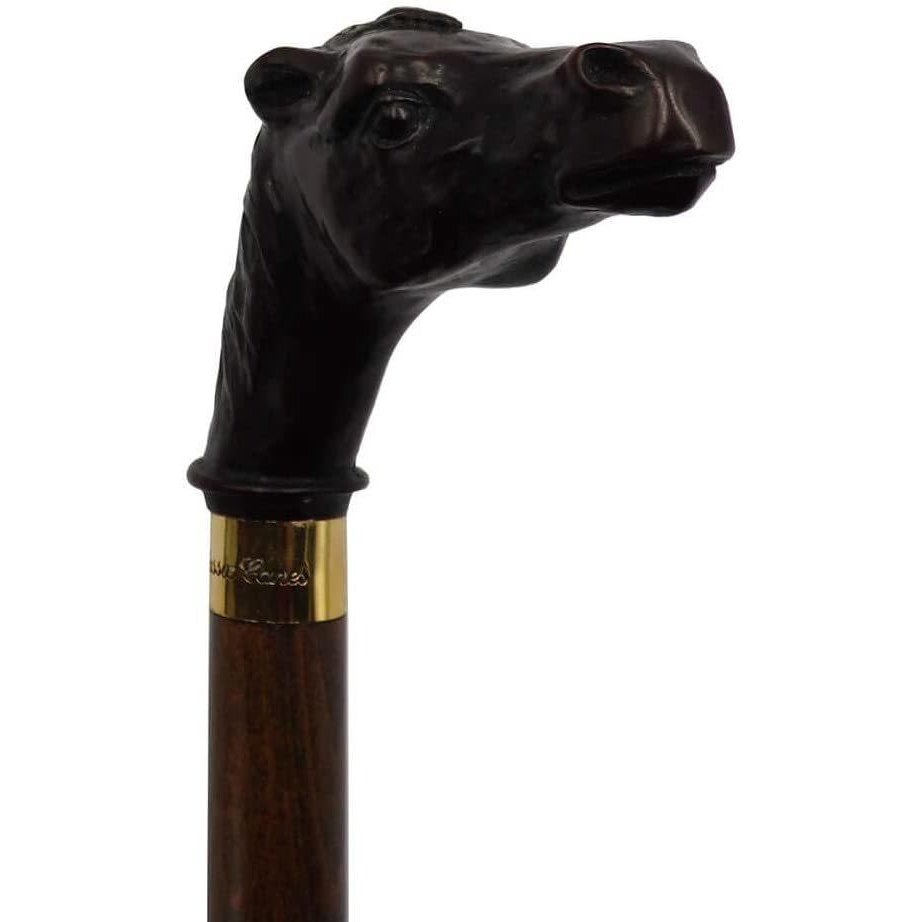 horse cane-3