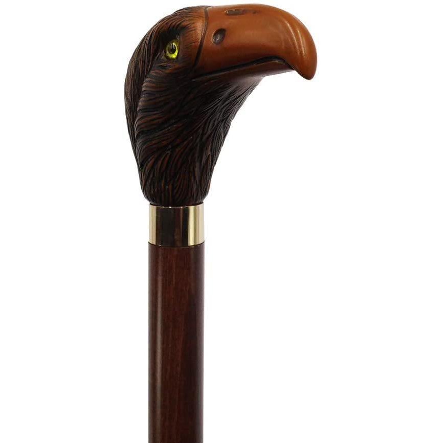 American eagle walking stick-2