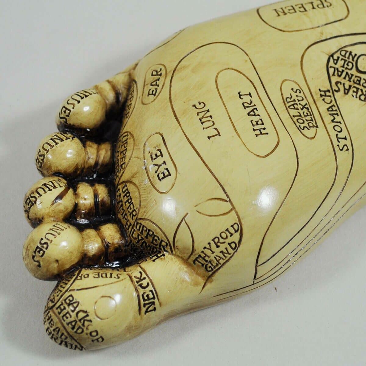 Reflexology Feet by Tina Tarrant 22.5cm High-1