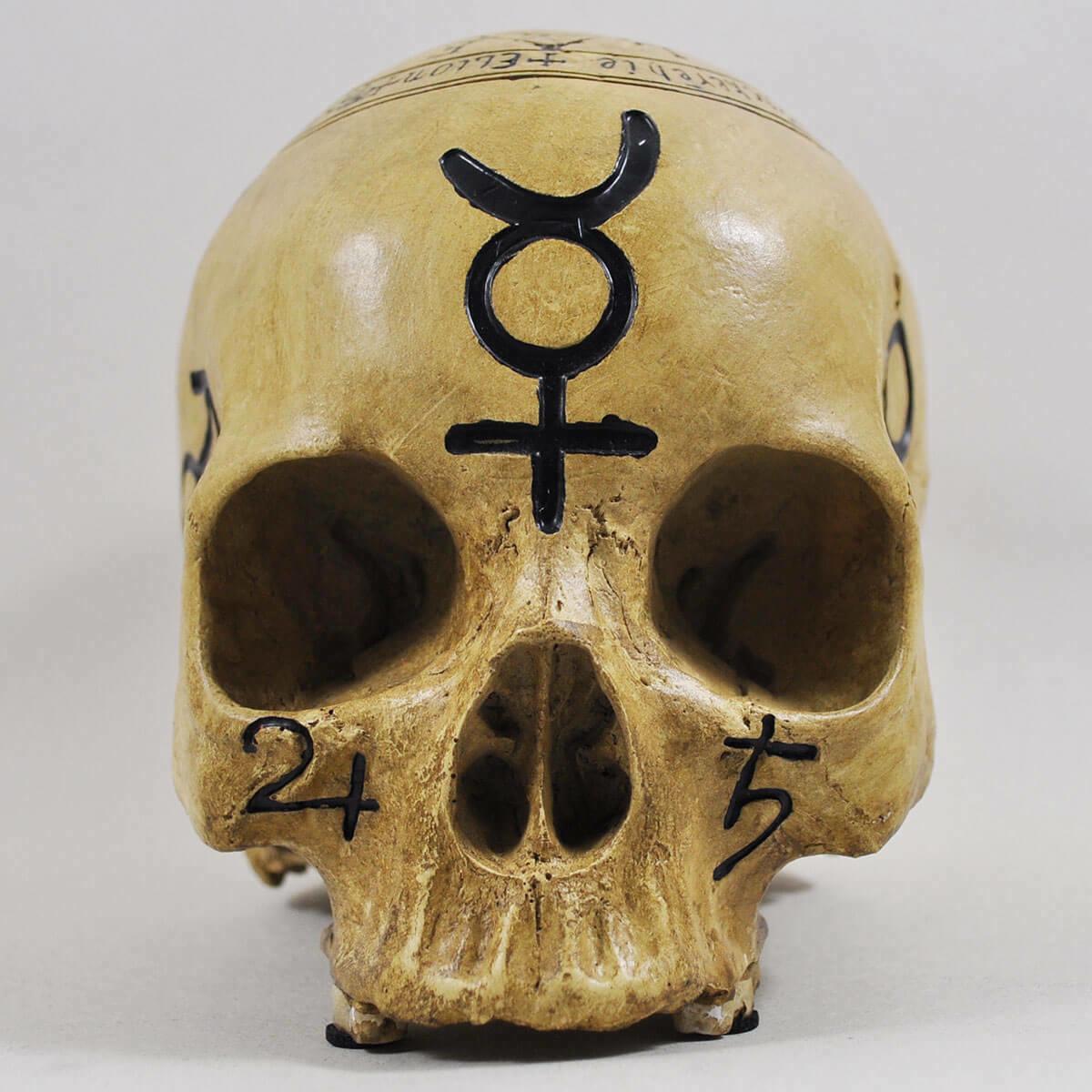 Witchcraft Skull Ornament Spooky Magical Halloween Decoration Gothic Pagan Celtic-0