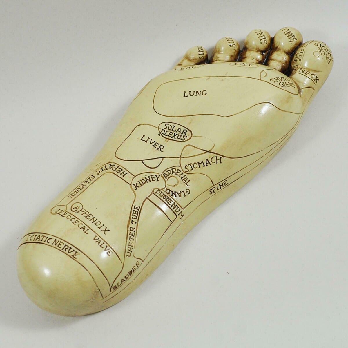 Reflexology Feet by Tina Tarrant 22.5cm High-3