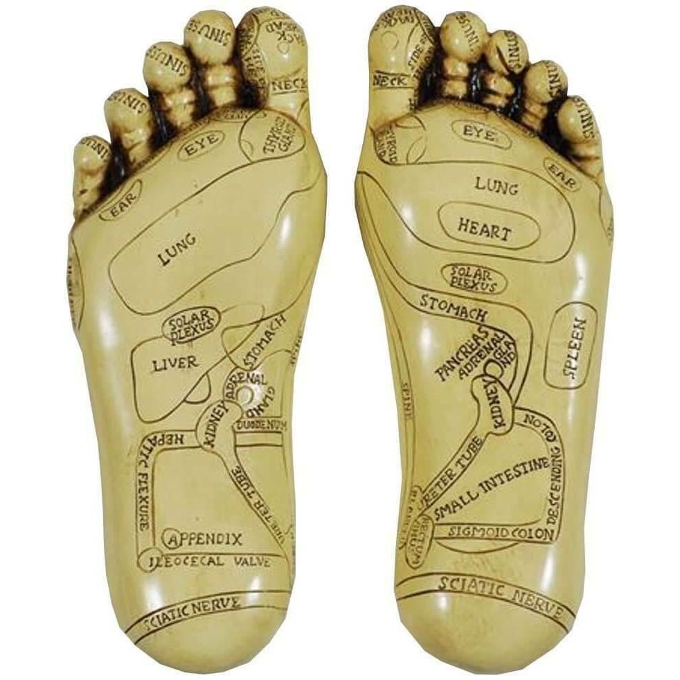 Reflexology Feet by Tina Tarrant 22.5cm High-4