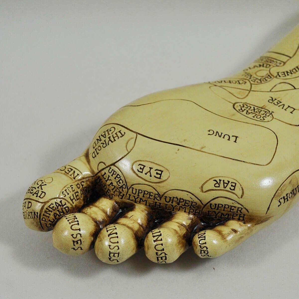 Reflexology Feet by Tina Tarrant 22.5cm High-5