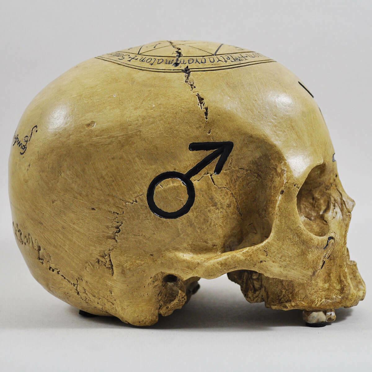 Witchcraft Skull Ornament Spooky Magical Halloween Decoration Gothic Pagan Celtic-2