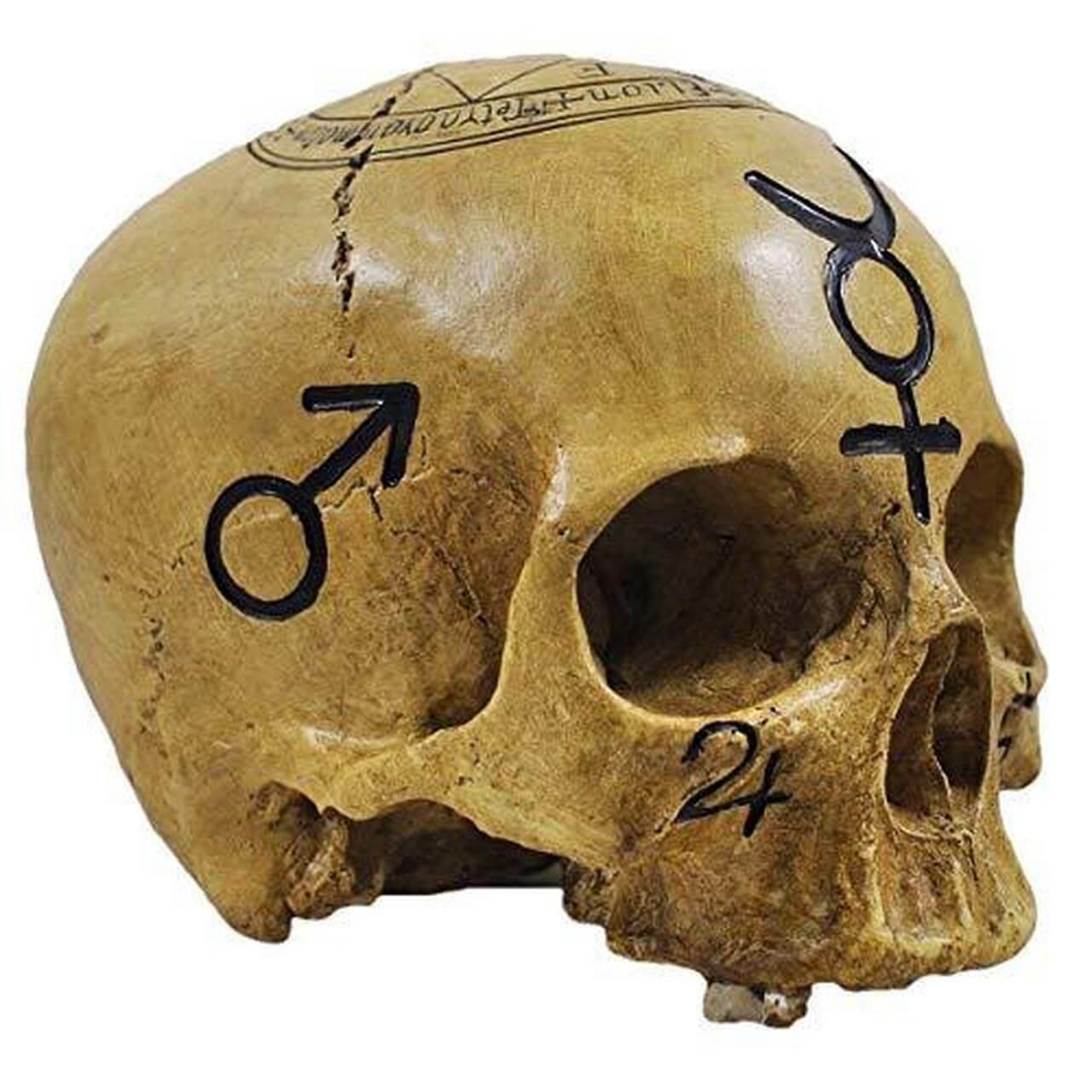 Witchcraft Skull Ornament Spooky Magical Halloween Decoration Gothic Pagan Celtic-3