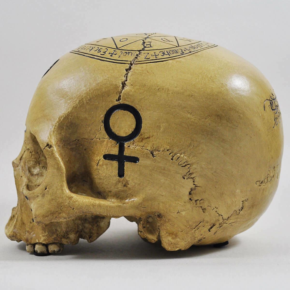 Witchcraft Skull Ornament Spooky Magical Halloween Decoration Gothic Pagan Celtic-4