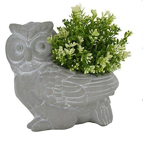 A wise owl garden planter/ Ornamental planter/ Flower pot-0