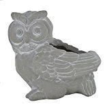 A wise owl garden planter/ Ornamental planter/ Flower pot-1