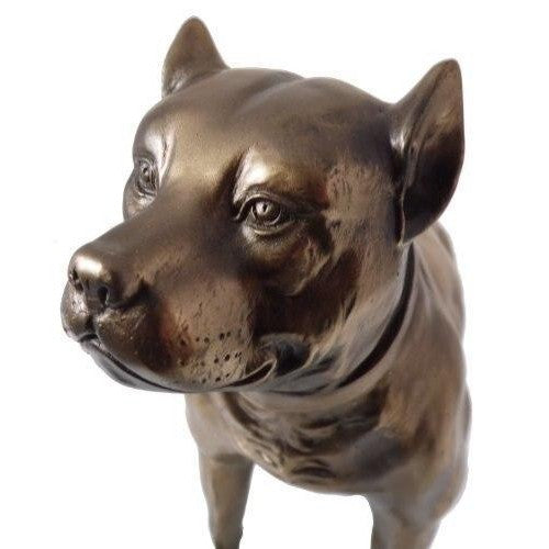 Pit Bull/ Staff Terrier Dog Sculpture Statue in Cold Cast Bronze-3