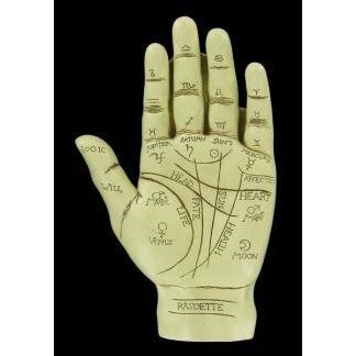 Palmistry chiromancy Hand with instructional booklet-1