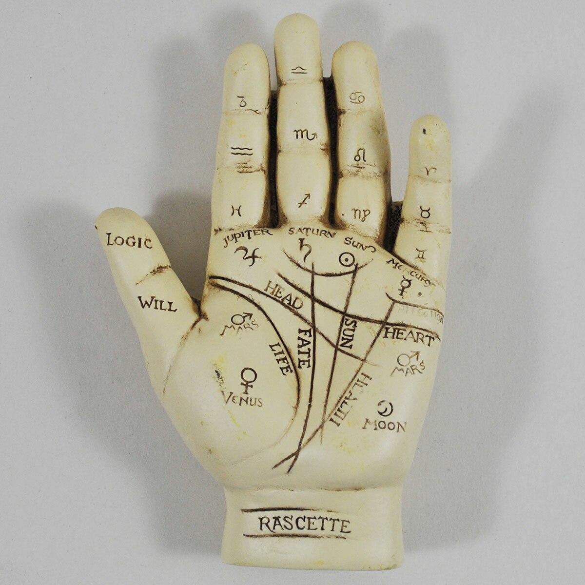 Palmistry chiromancy Hand with instructional booklet-2