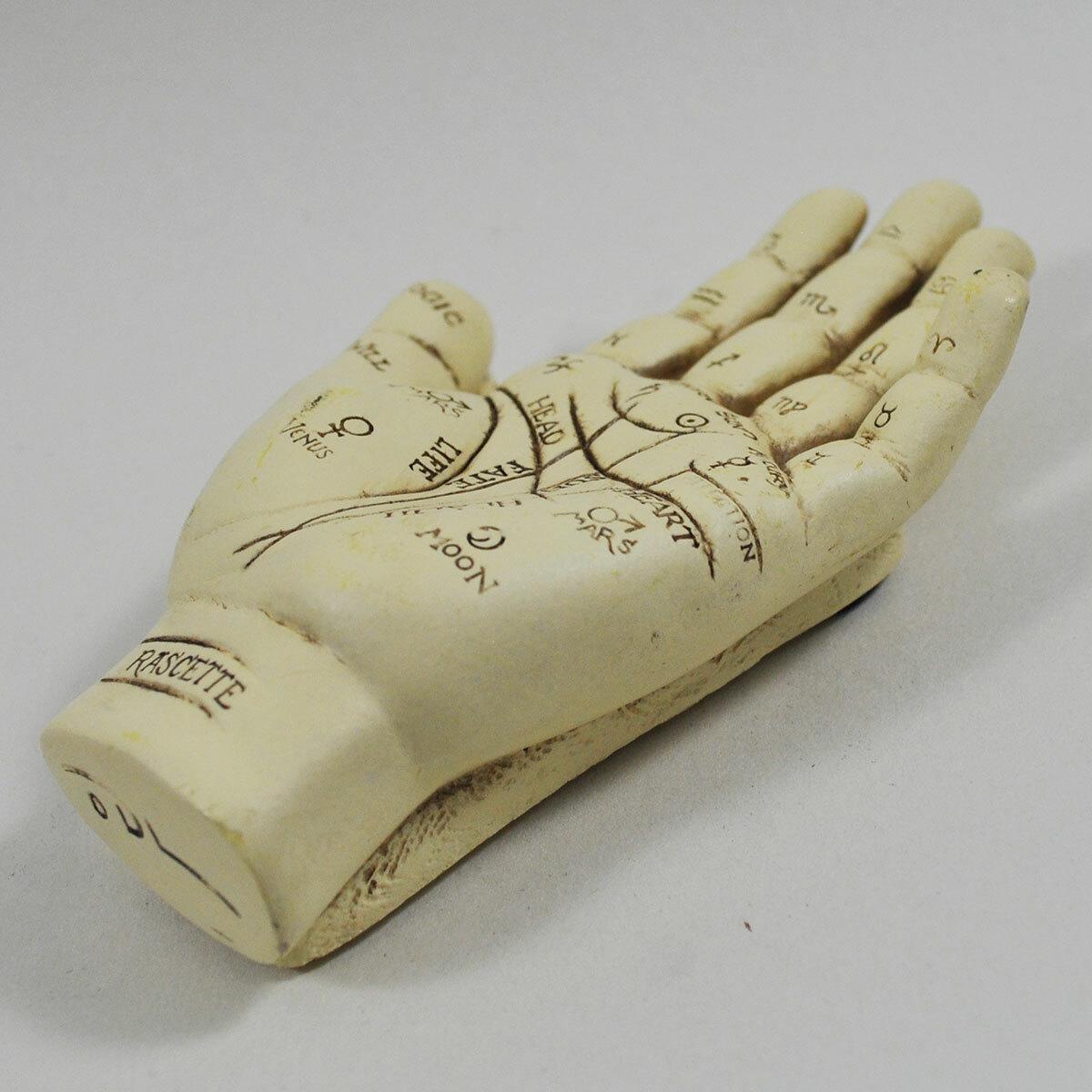 Palmistry chiromancy Hand with instructional booklet-4