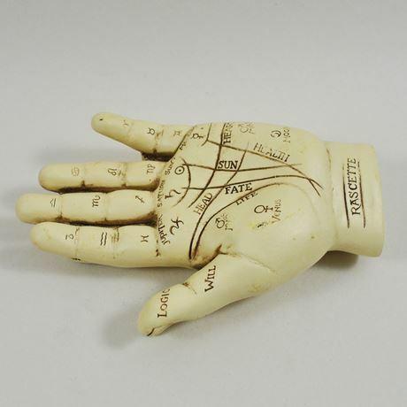 Palmistry chiromancy Hand with instructional booklet-6
