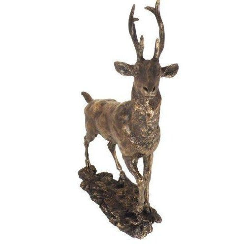 Stunning Cold Cast Bronze Stag. The Highland Monarch-0