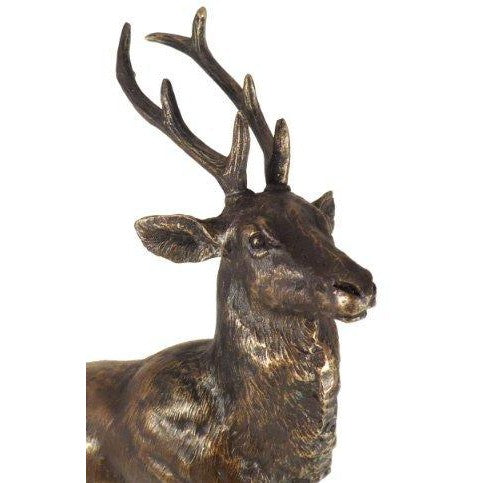 Stunning Cold Cast Bronze Stag. The Highland Monarch-3